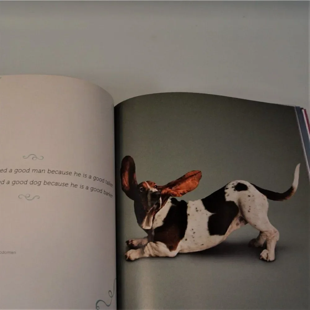 Yoga Dogs By Dan Borris 2011 Paper Back Dog Photography